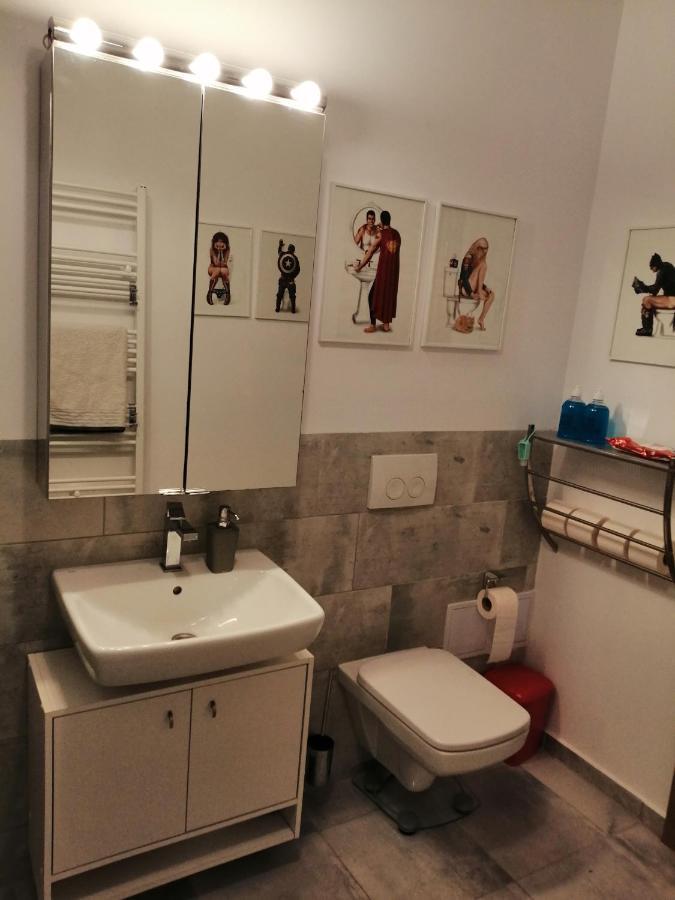 Apartmán Maurer Loft Târgu-Mureş Exteriér fotografie