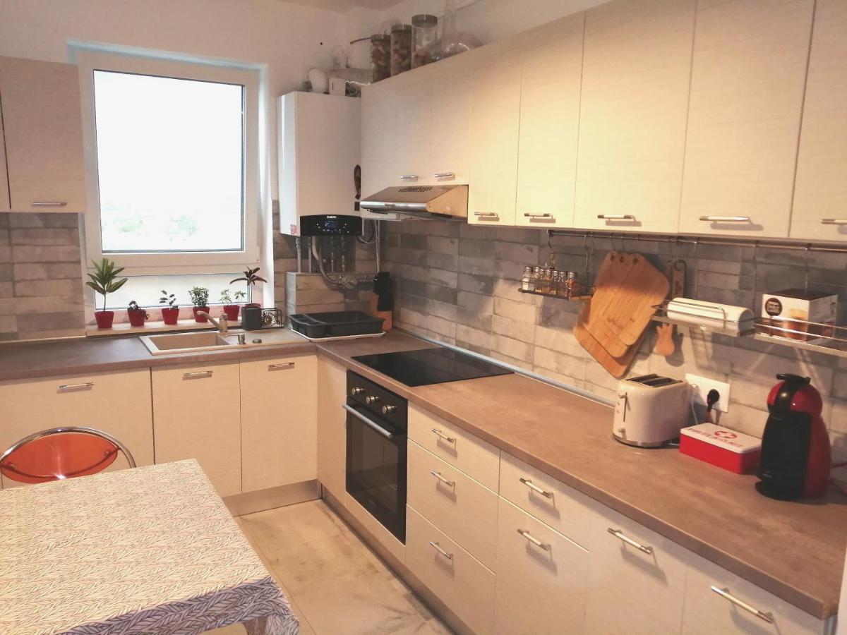 Apartmán Maurer Loft Târgu-Mureş Exteriér fotografie