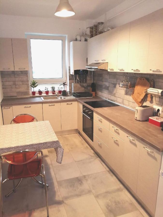Apartmán Maurer Loft Târgu-Mureş Exteriér fotografie